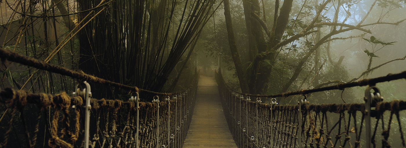 A point of view shot of a rope bridge amidst greenery | Vythiri Resort, Wayanad